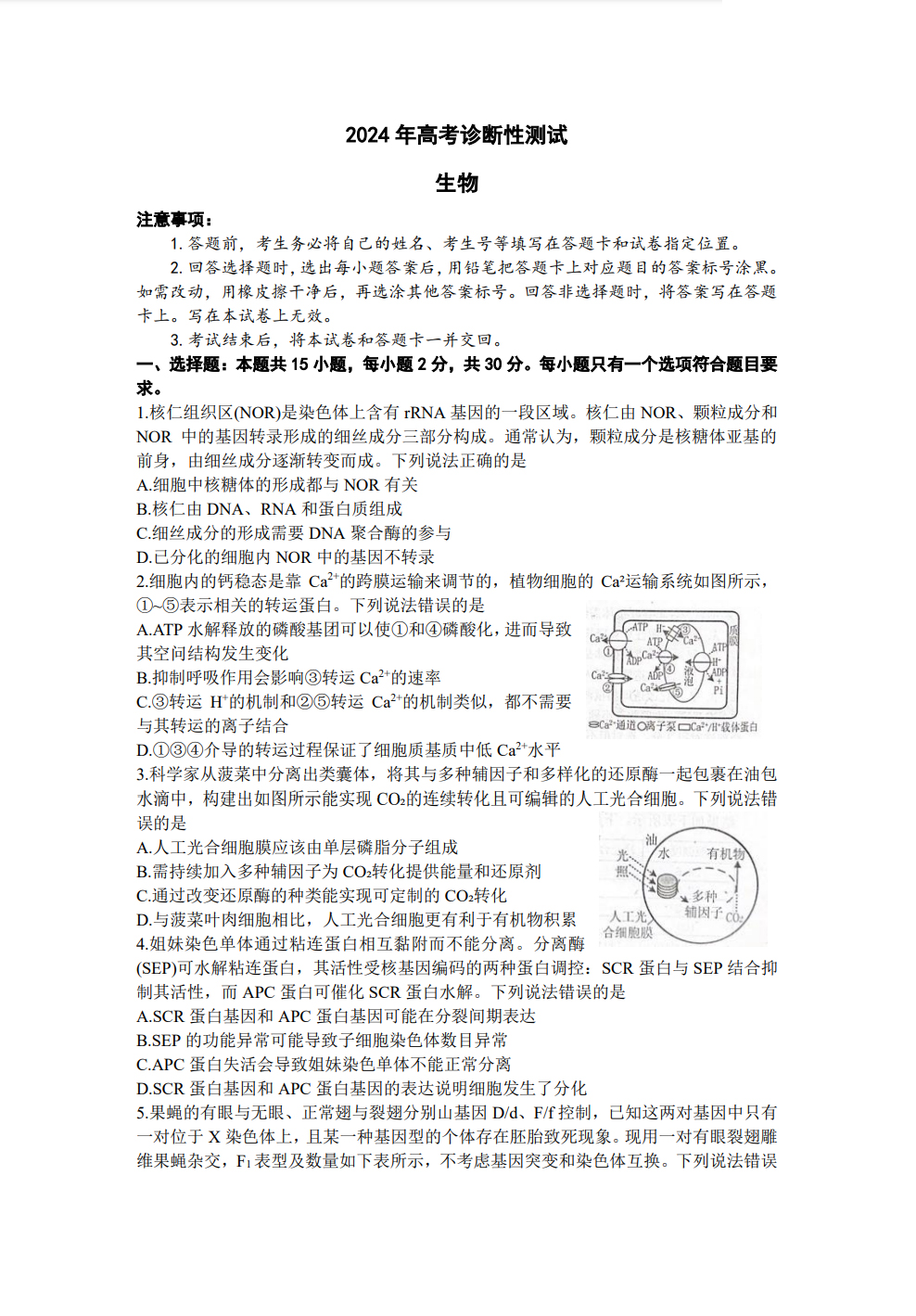 山东烟台2024届高三一模生物试题和答案