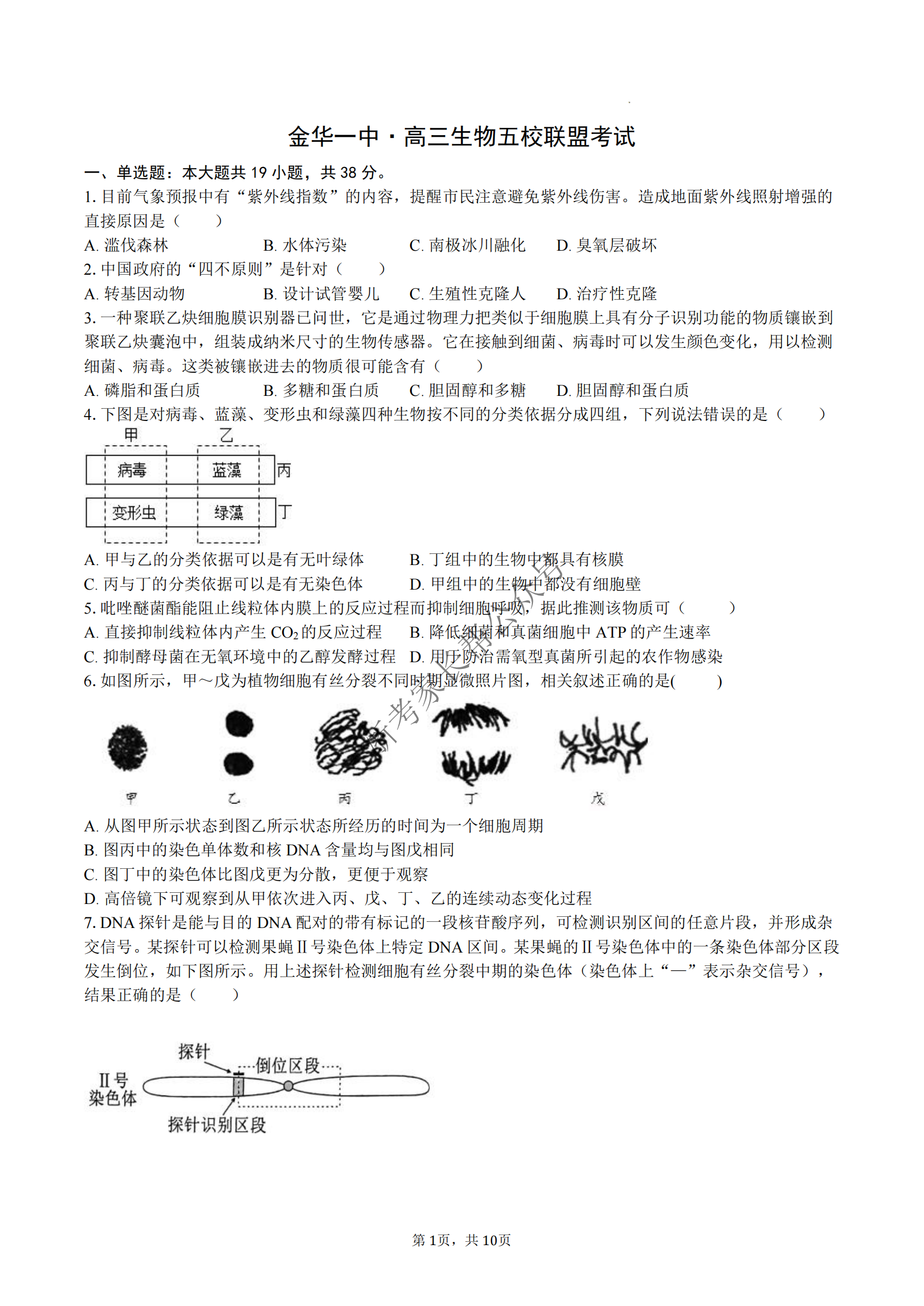 2024年浙江省五校联盟高三3月联考物理试题