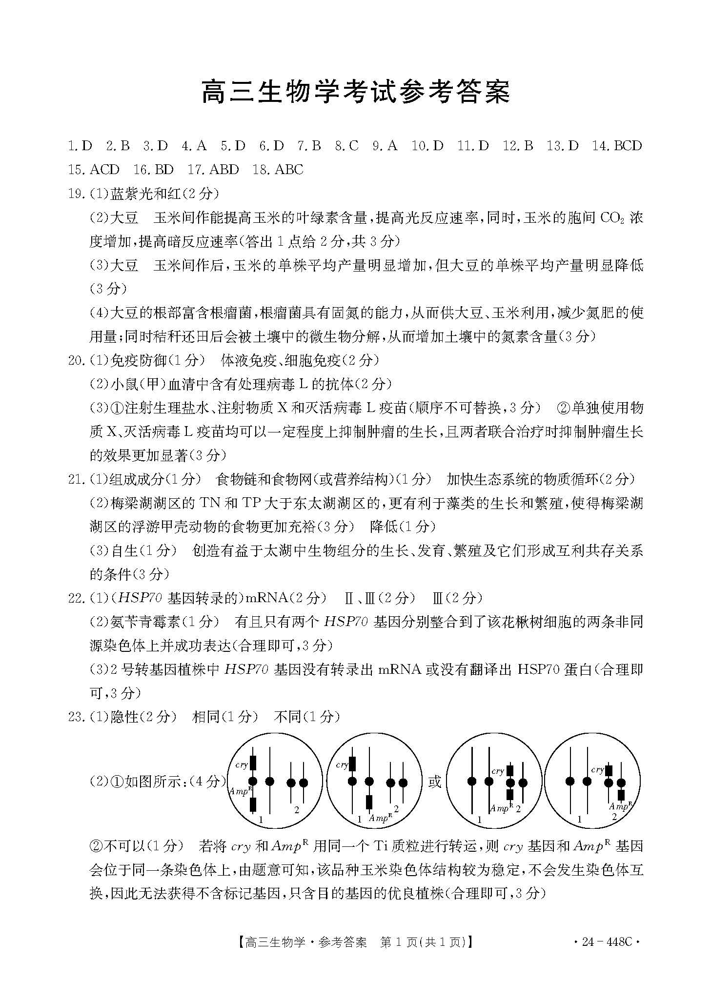 河北省2024届高三金太阳4月联考（448C）生物答案