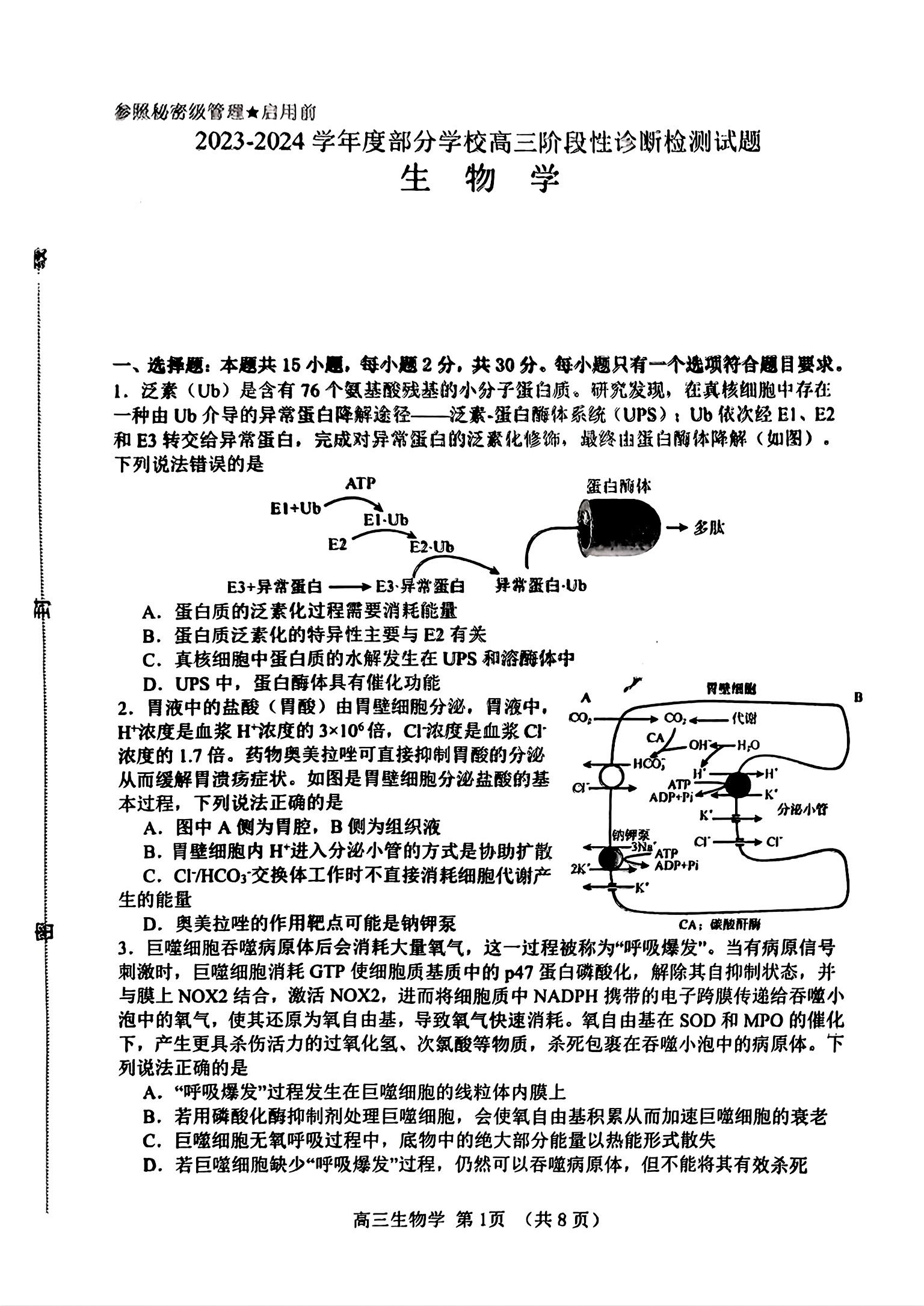 2024年山东淄博高三二模生物试题和答案