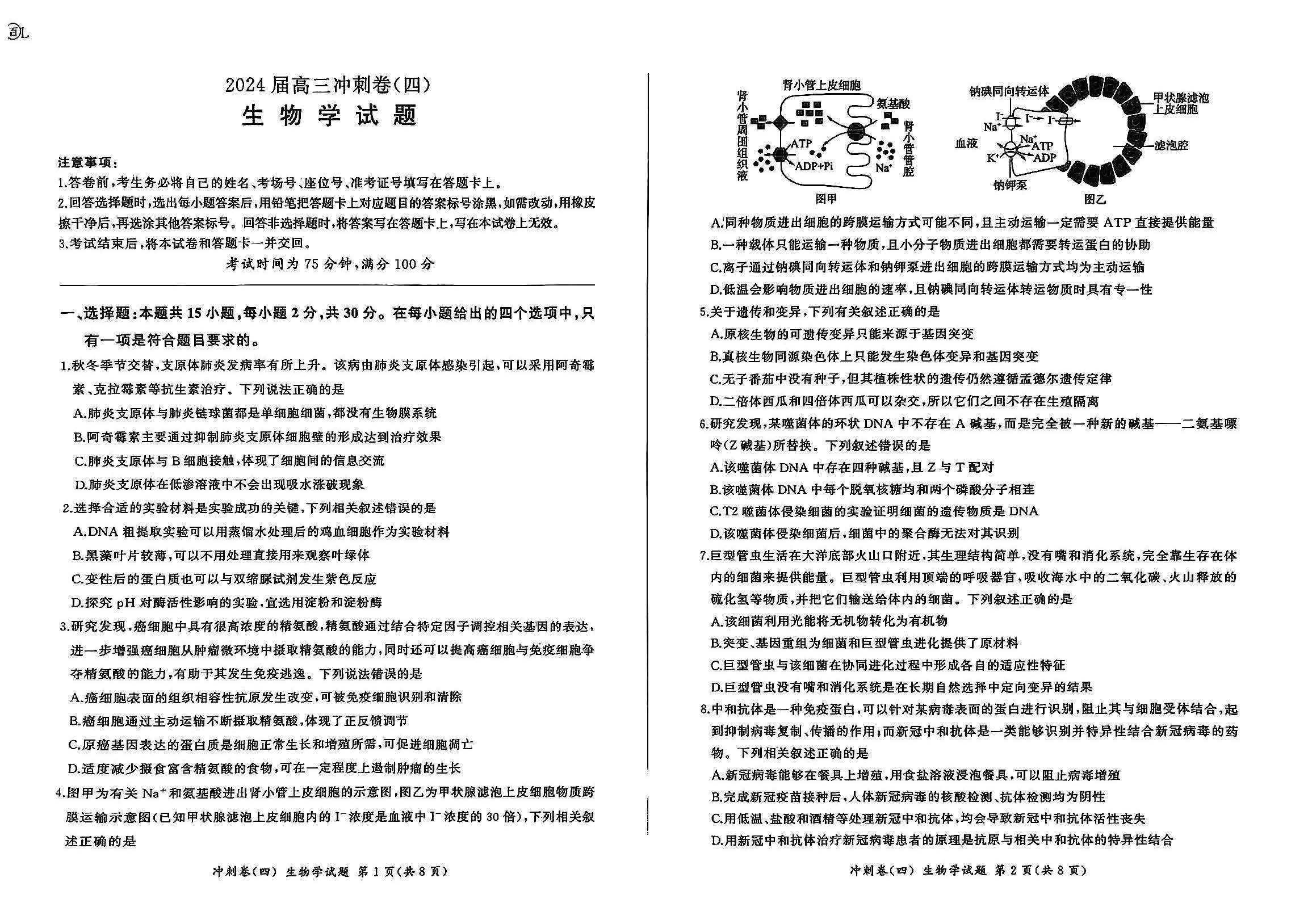 百师联盟2024届高三冲刺卷四生物试题