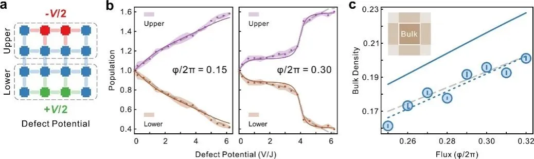 首次实现！中国科大又一篇Science！