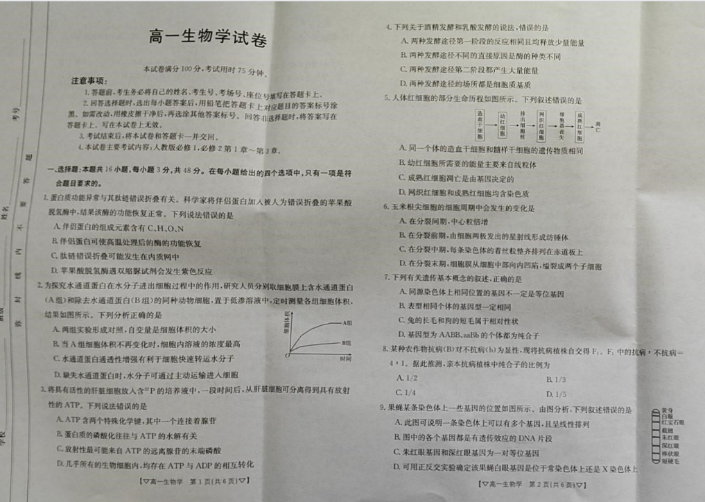 金太阳2023-2024学年高一期中联合质量检测（487A）生物试题