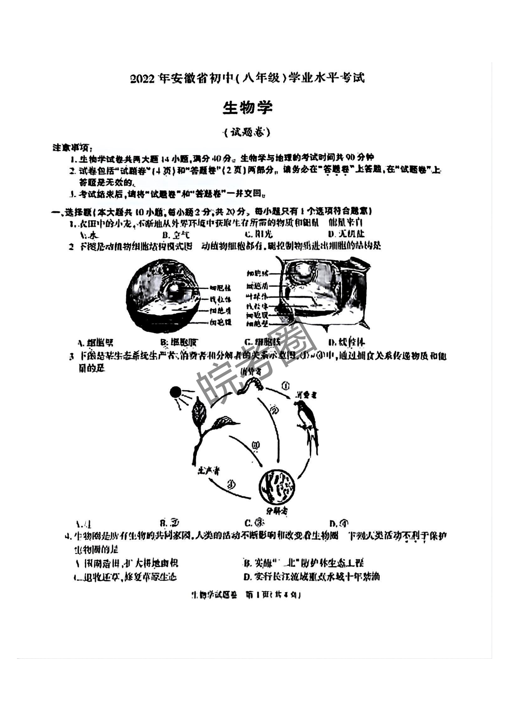 安徽省2022年中考生物真题及答案