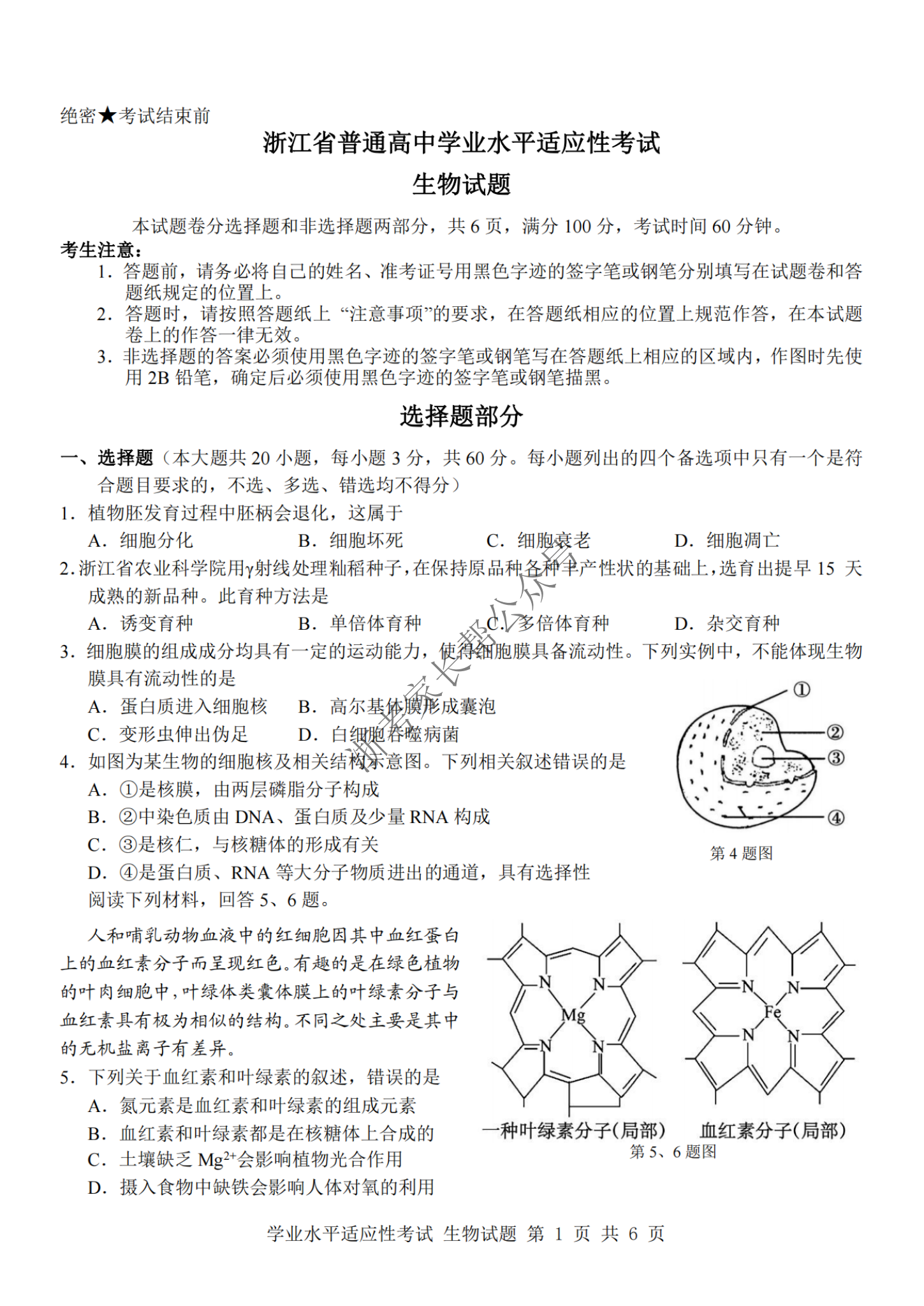 2024年浙江省高中学考适应考生物试题及答案