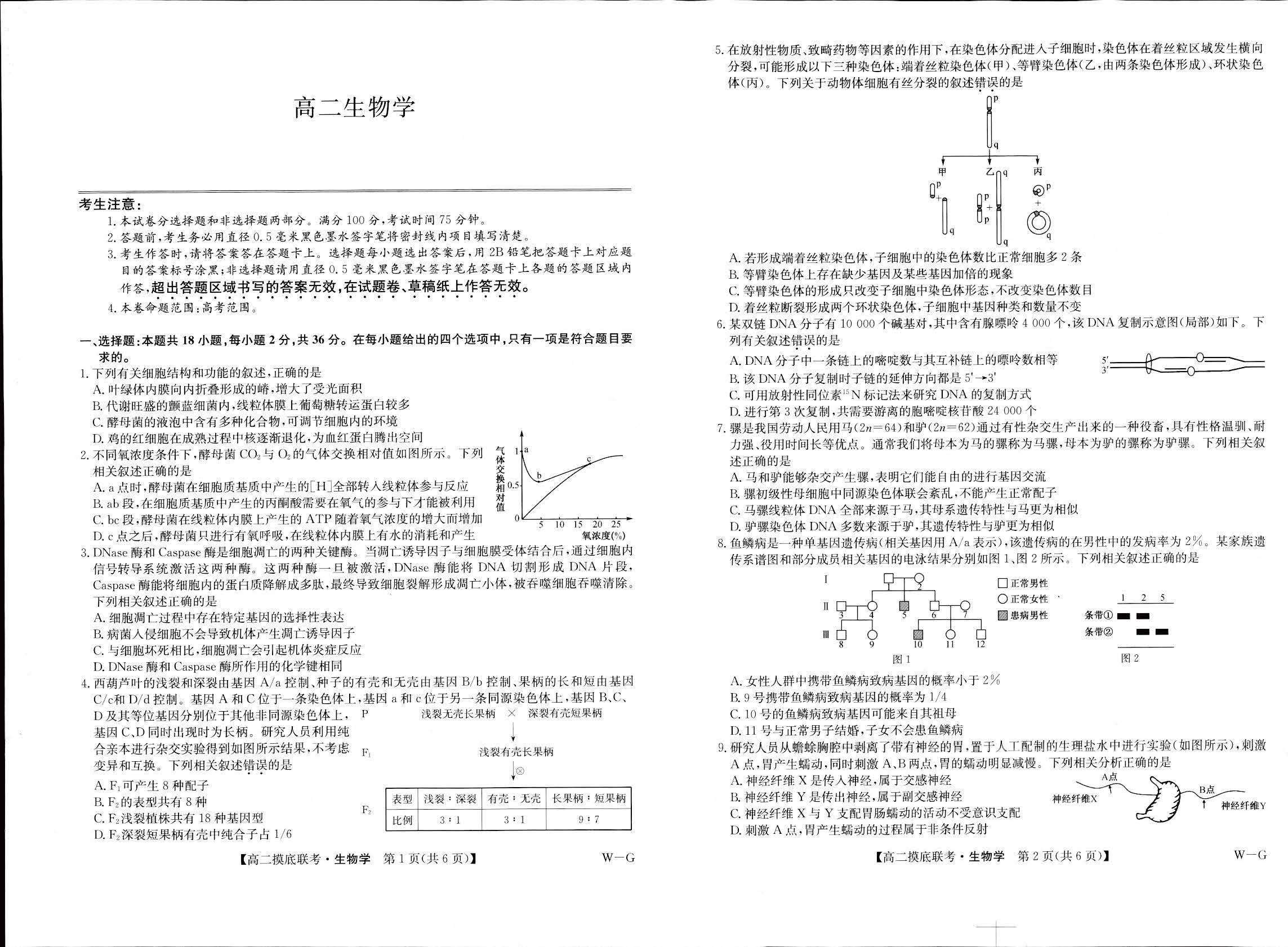 九师联盟2024学年高二下6月摸底联考（G）生物试题