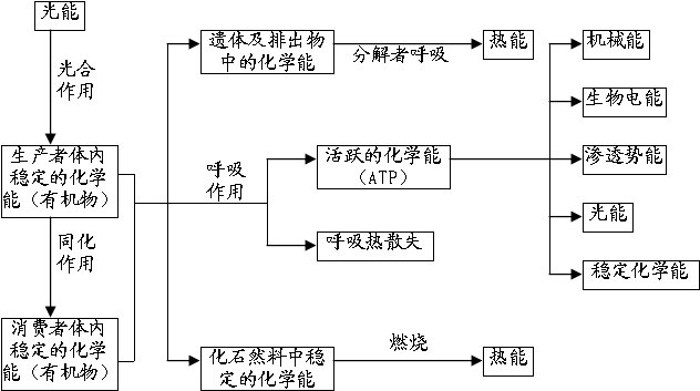 山东高中生一定要收藏!高中生物知识结构图全汇总