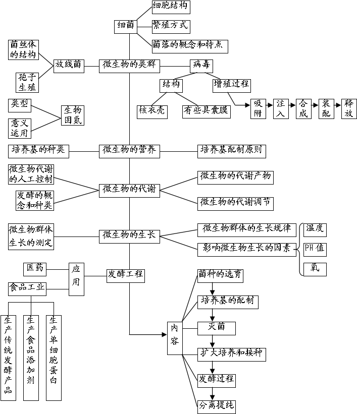 山东高中生一定要收藏!高中生物知识结构图全汇总