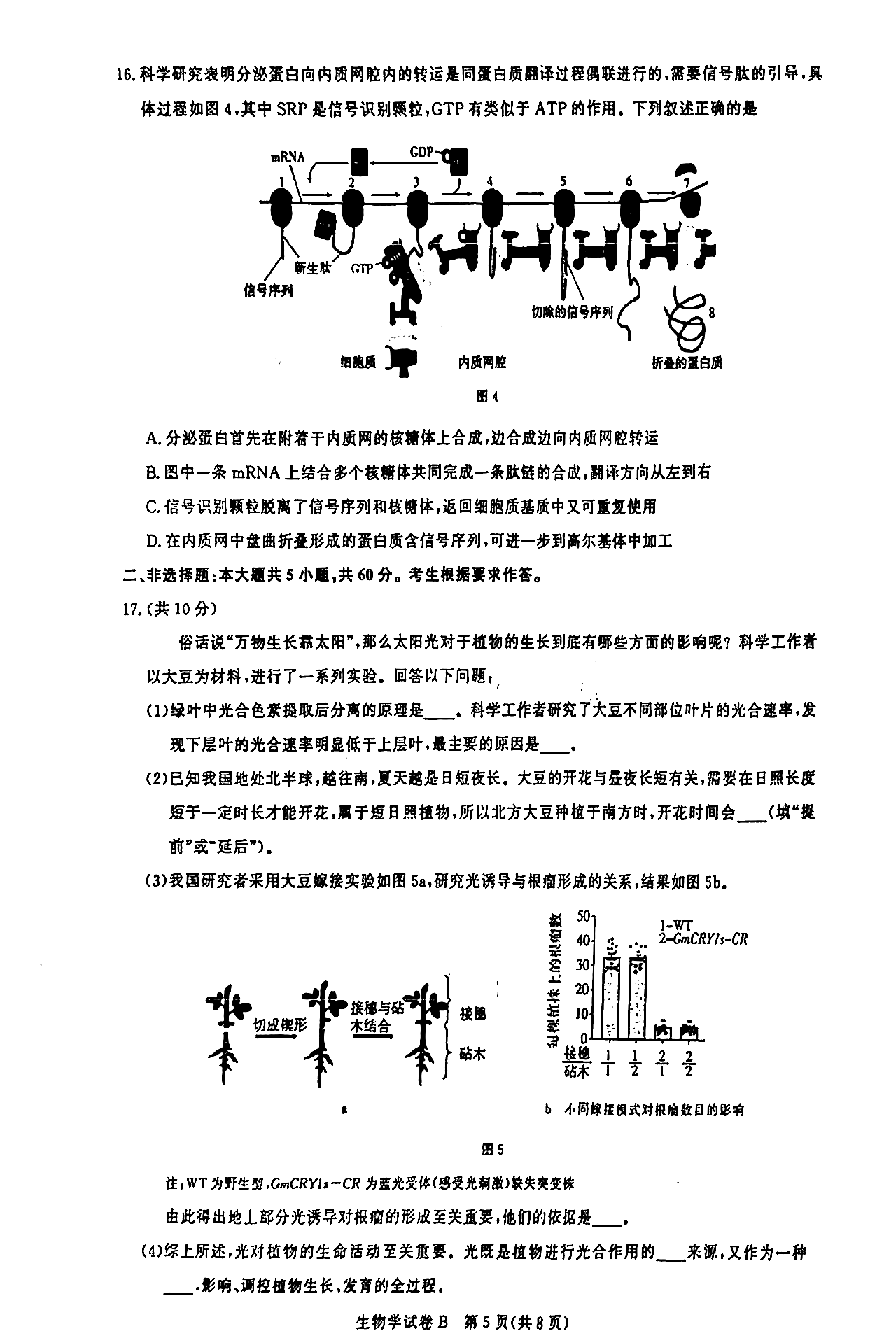 2025届广州高三8月摸底考试生物试题及答案