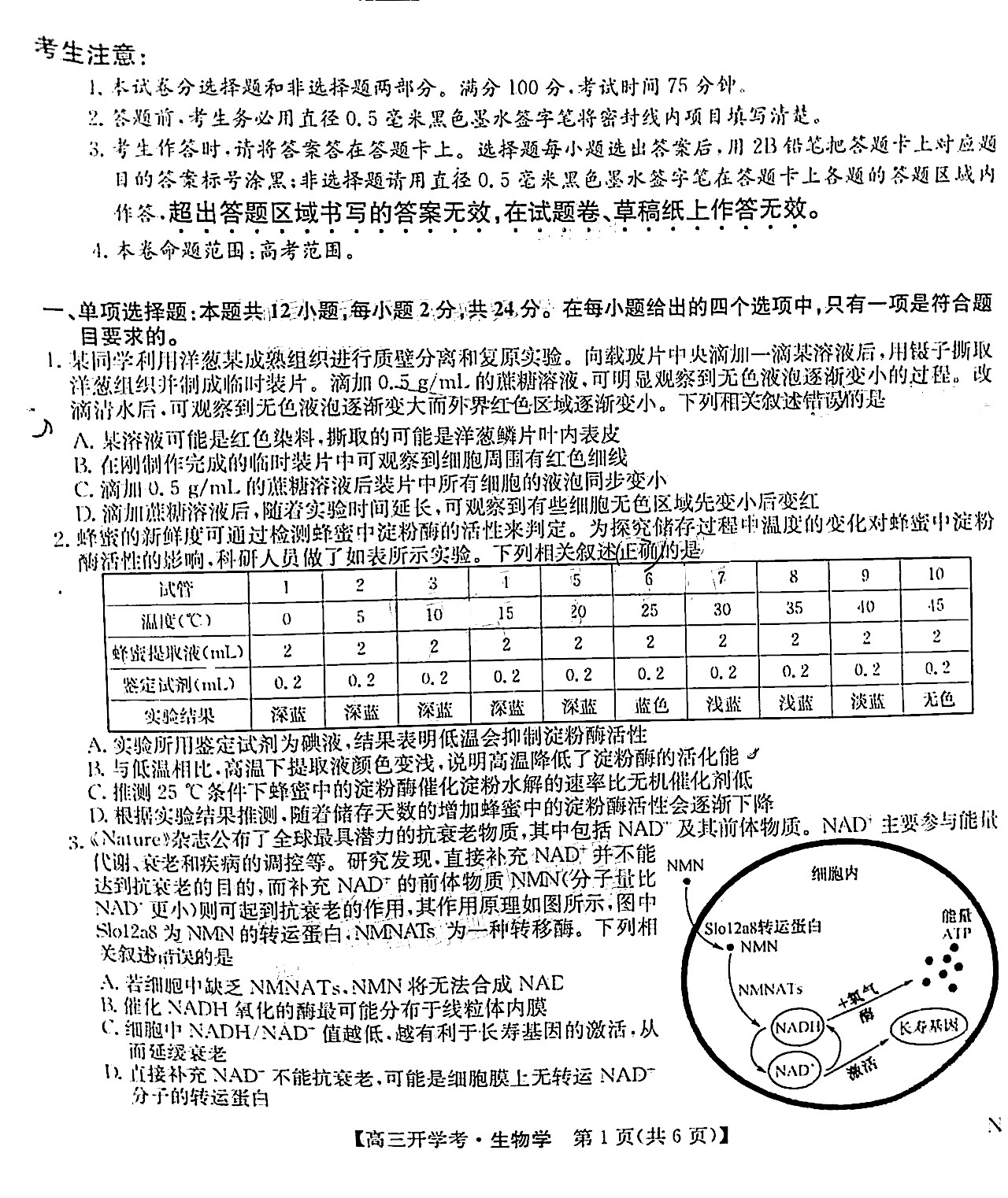 2025届九师联盟高三8月开学考生物试题及答案