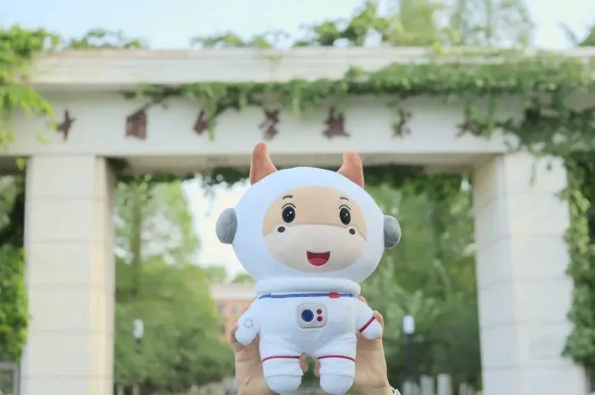 在中国科大上学是一种什么样的体验？