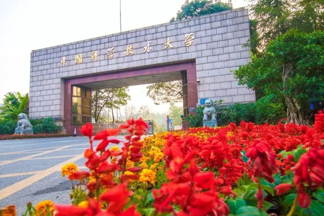 在中国科大上学是一种什么样的体验？