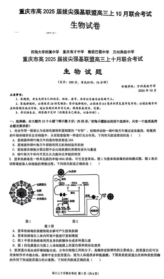 重庆市高2025届拔尖强基联盟高三上10月联合考试化学试题及答案