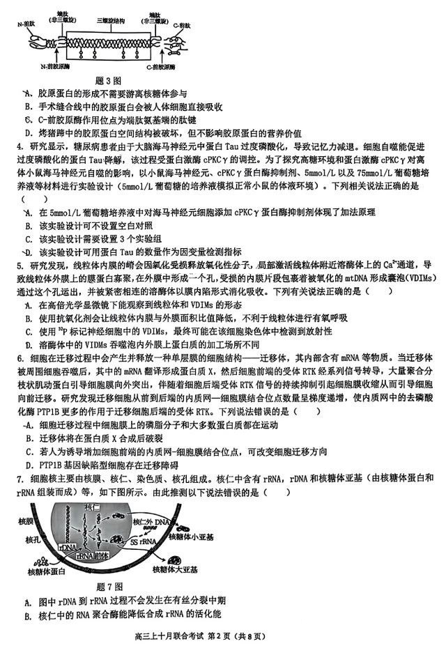 重庆市高2025届拔尖强基联盟高三上10月联合考试化学试题及答案
