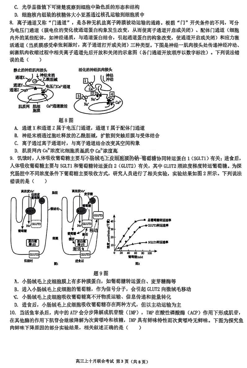 重庆市高2025届拔尖强基联盟高三上10月联合考试化学试题及答案