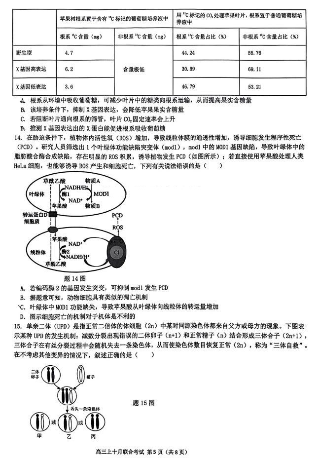 重庆市高2025届拔尖强基联盟高三上10月联合考试化学试题及答案