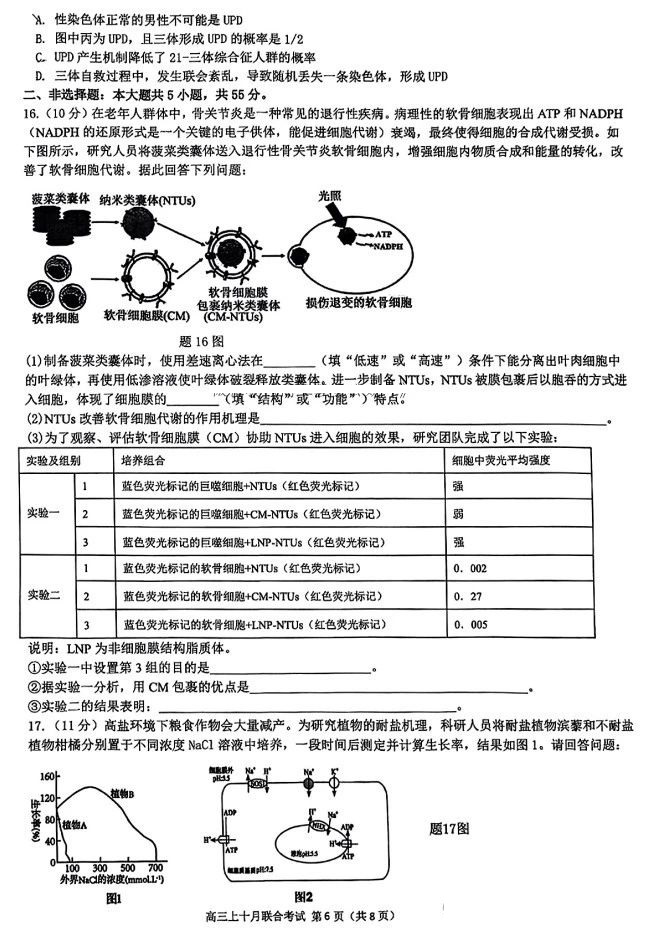 重庆市高2025届拔尖强基联盟高三上10月联合考试化学试题及答案