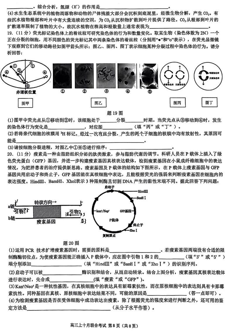 重庆市高2025届拔尖强基联盟高三上10月联合考试化学试题及答案