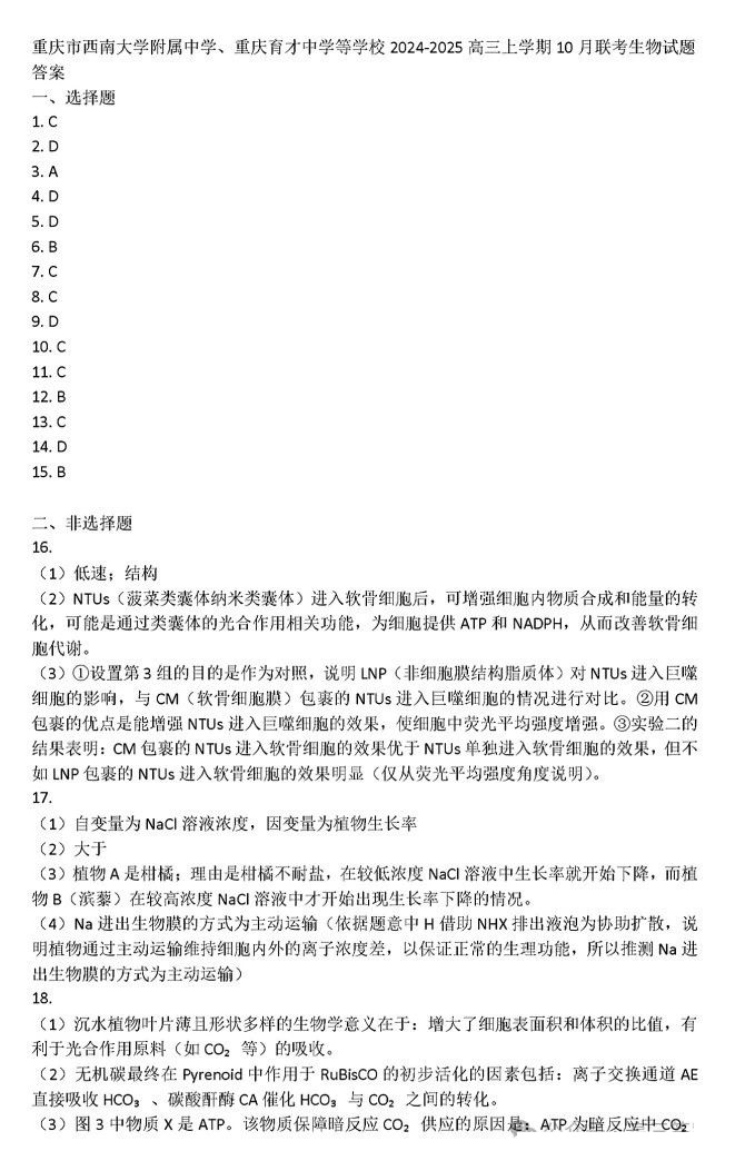 重庆市高2025届拔尖强基联盟高三上10月联合考试化学试题及答案
