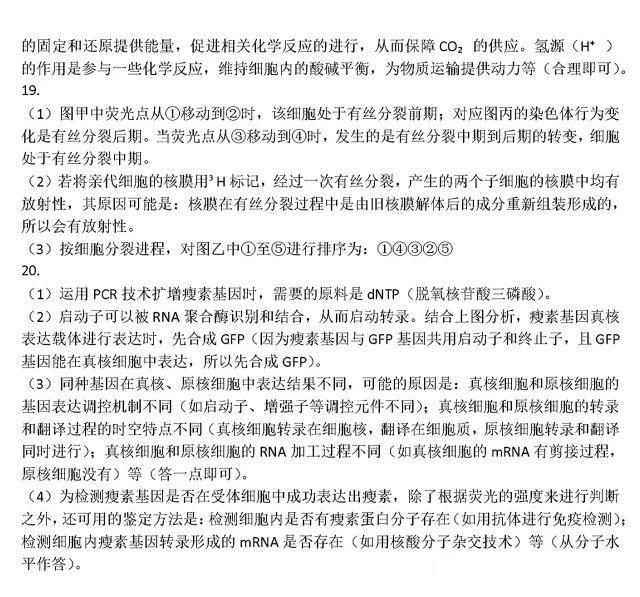 重庆市高2025届拔尖强基联盟高三上10月联合考试化学试题及答案
