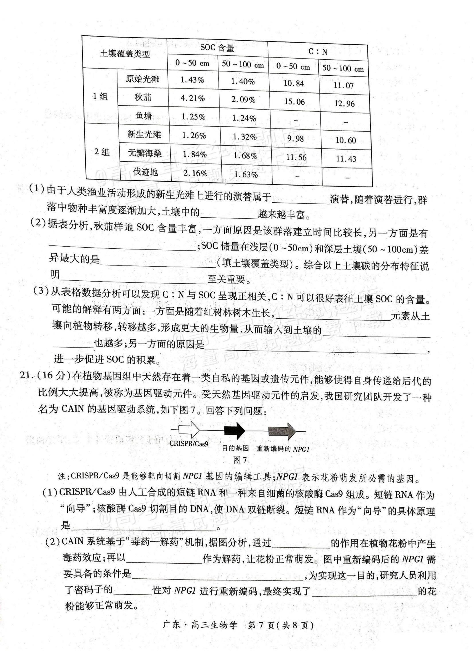 广东上进联考2025届高三10月阶段检测考生物试题及答案