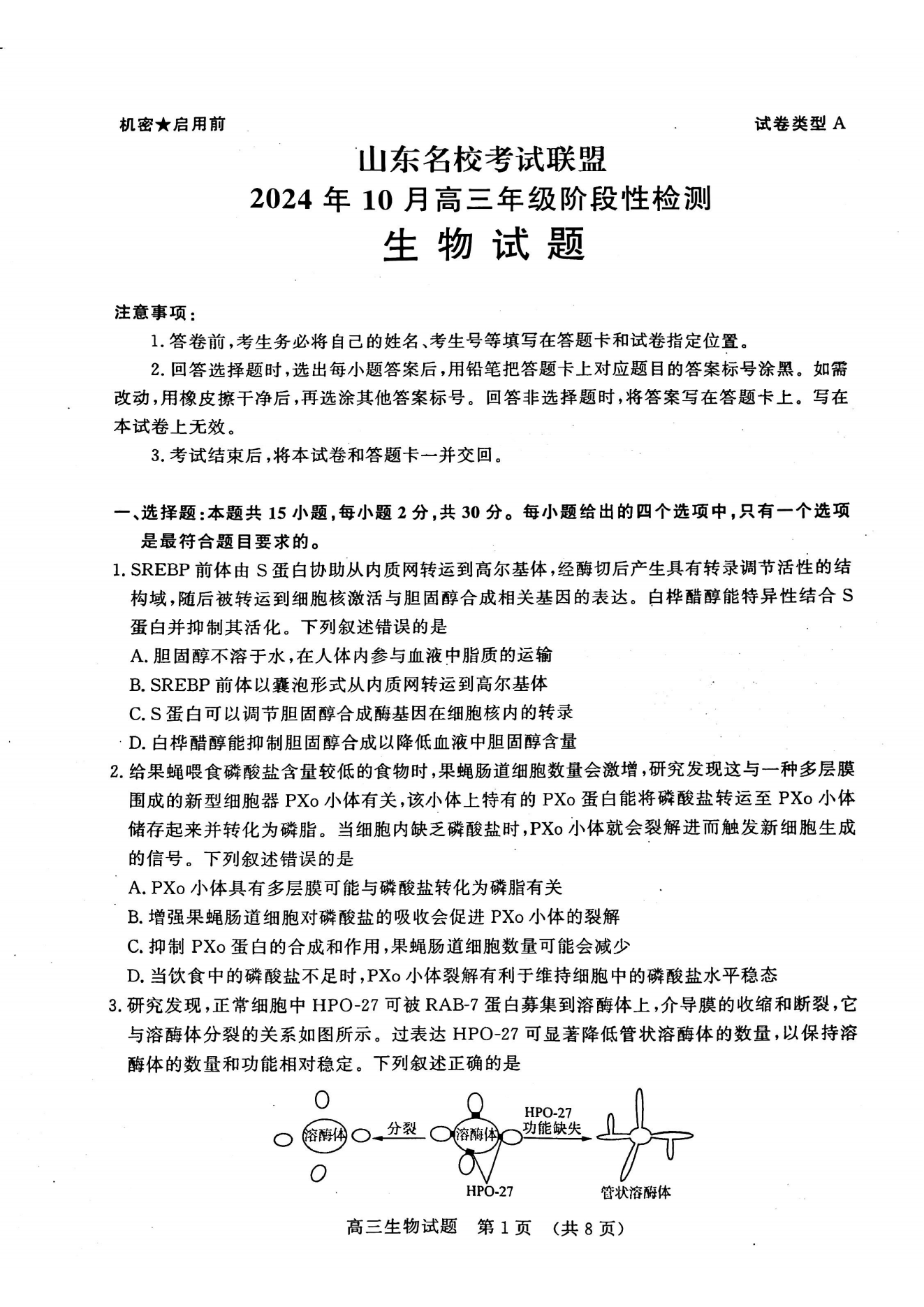 山东名校考试联盟2025届高三10月阶段性联考生物试题及答案