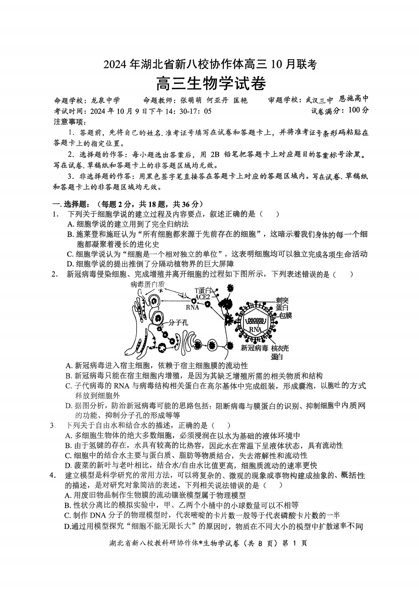 2024年湖北省新八校协作体高三10月联考生物试题及答案