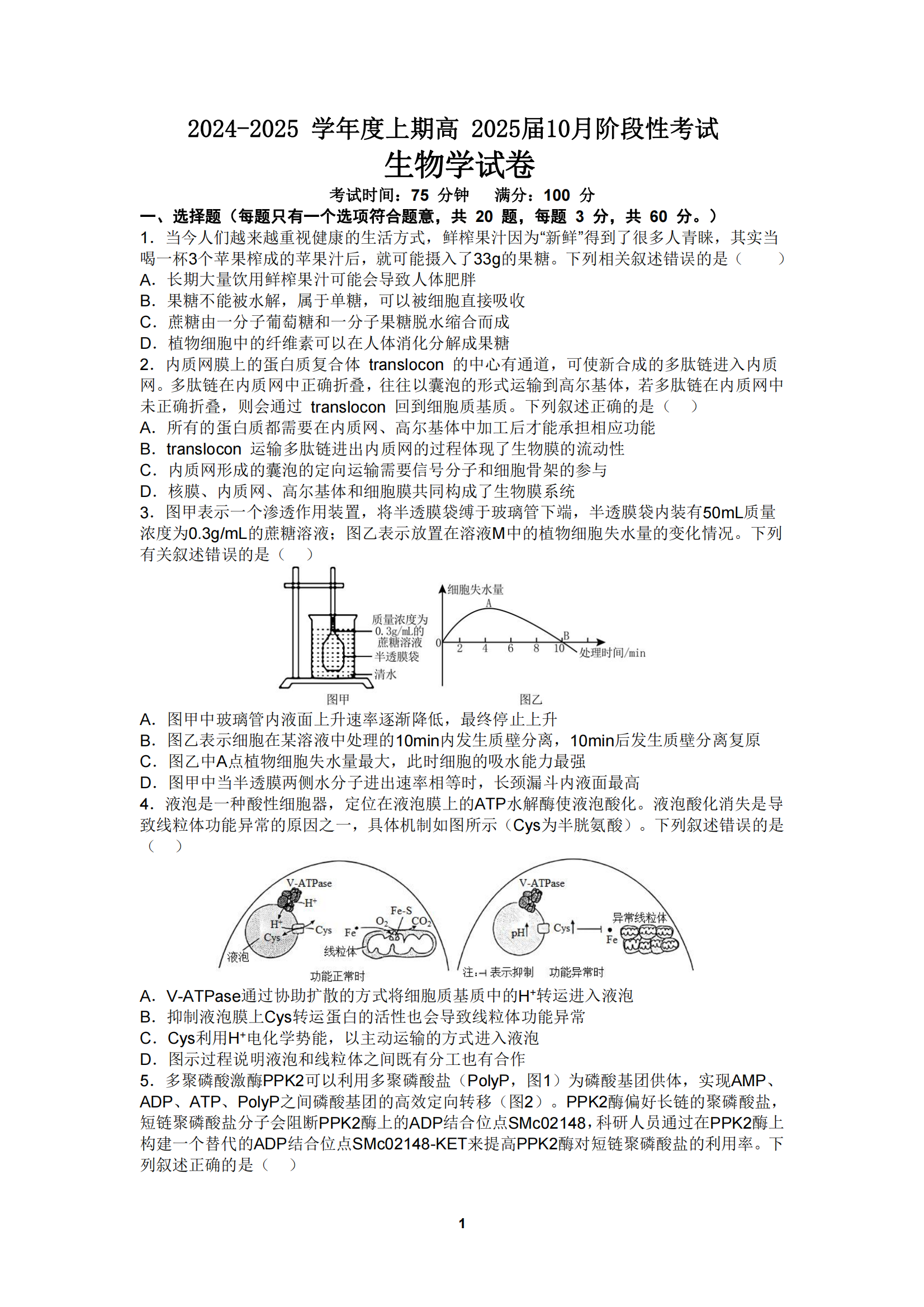 2025届四川省成都七中高三10月月考生物试题及答案