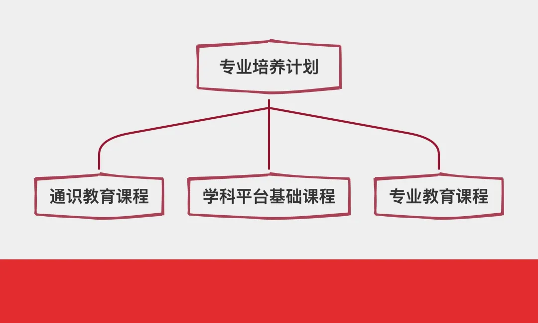山东大学2024版本科人才培养方案出炉!
