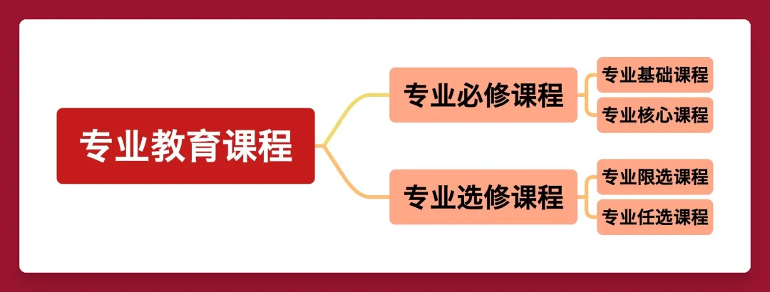 山东大学2024版本科人才培养方案出炉!