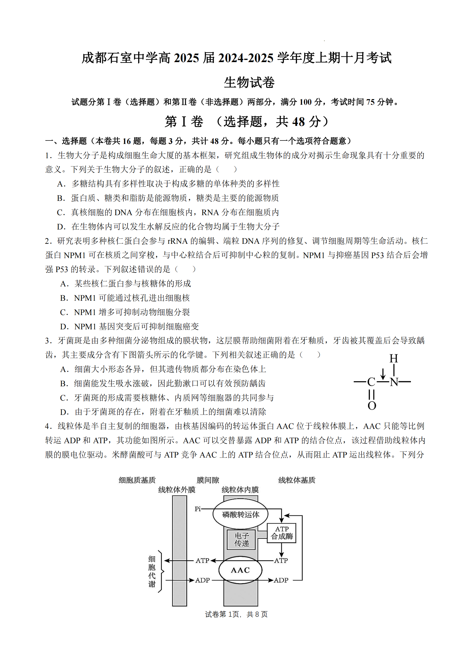 2025届成都石室中学高三10月月考生物试题及答案