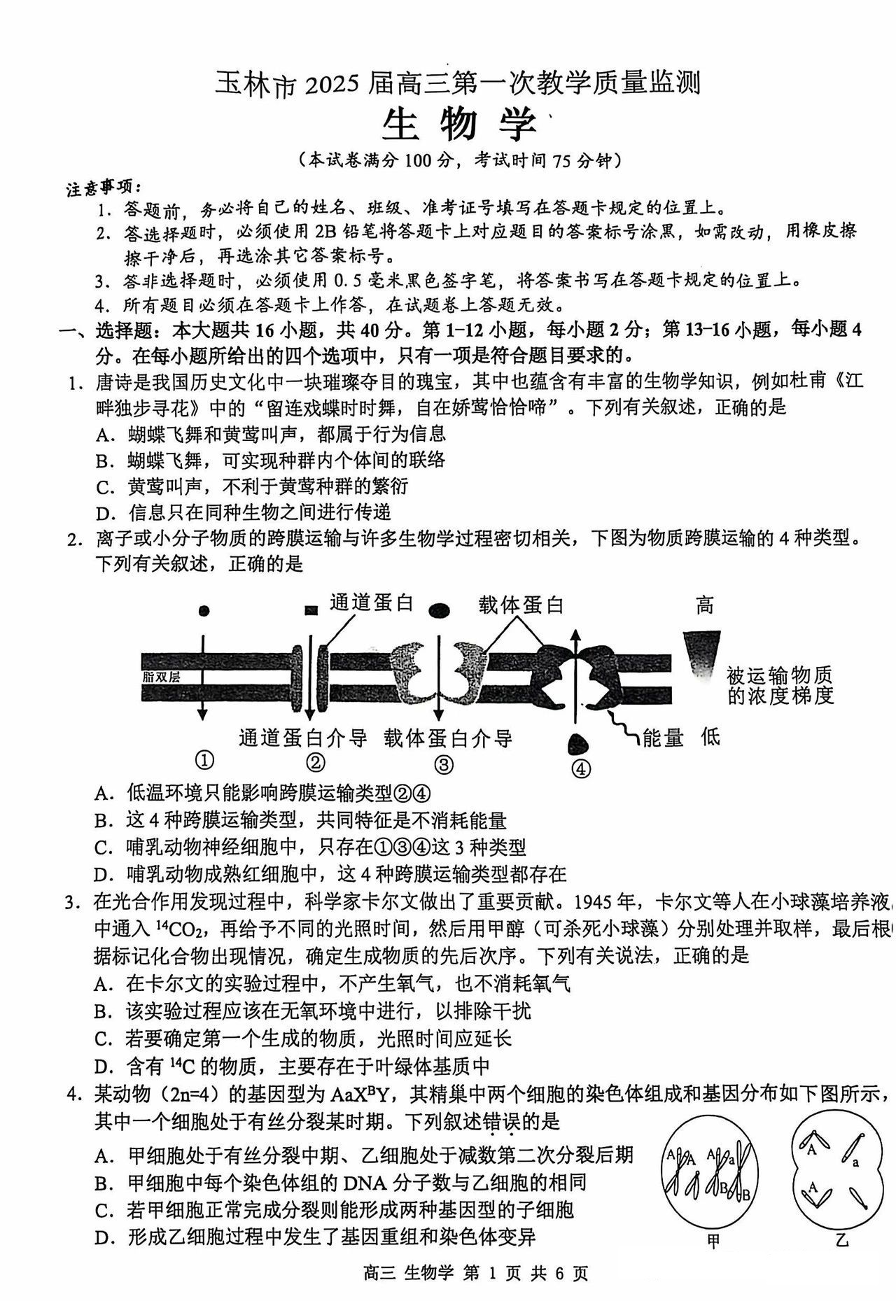 广西桂林/南宁/河池/来宾/玉林一模2025届高三第一次教学质量监测生物试题答案