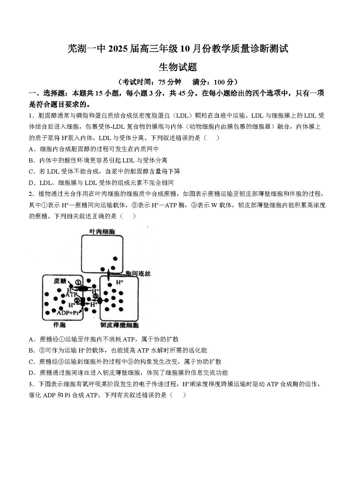 安徽省芜湖一中2025届高三10月质量诊断测试生物试题和答案