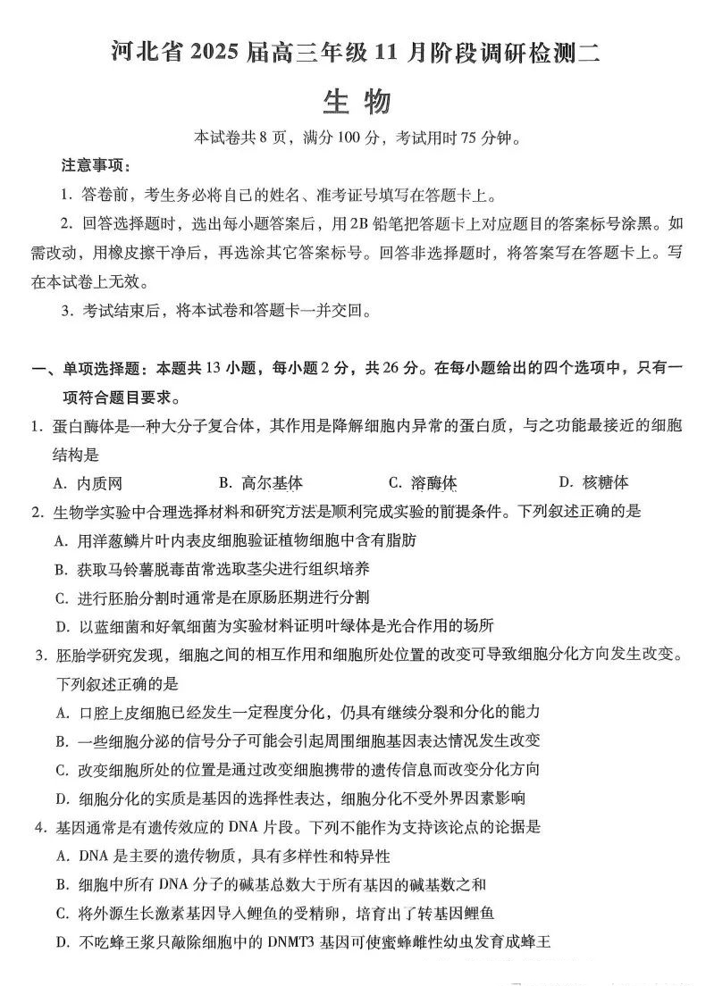 河北省2025届高三年级11月阶段调研检测生物试题及答案