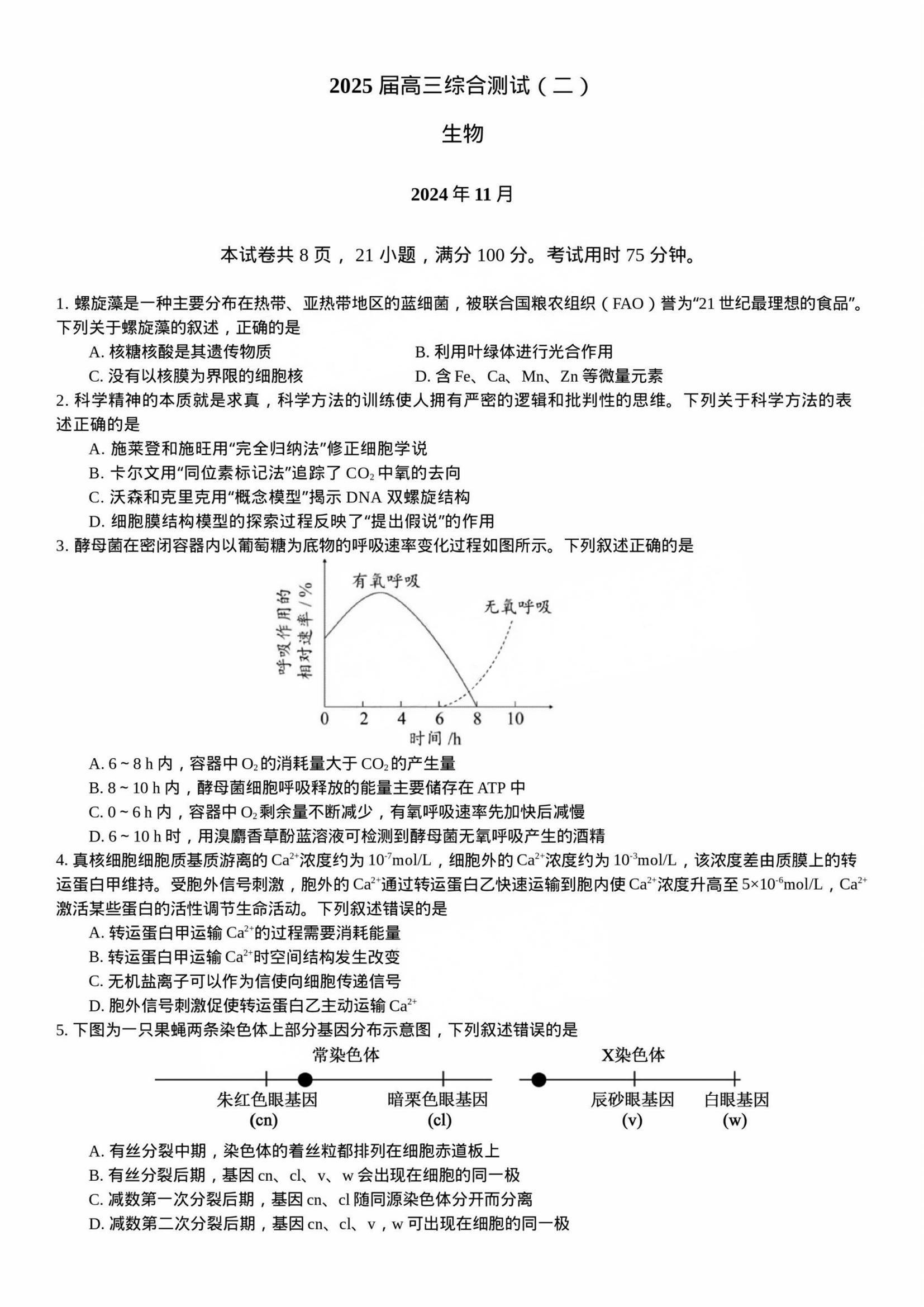 广东华南师范大学附属中学2025届高三11月综合测试生物试题及答案