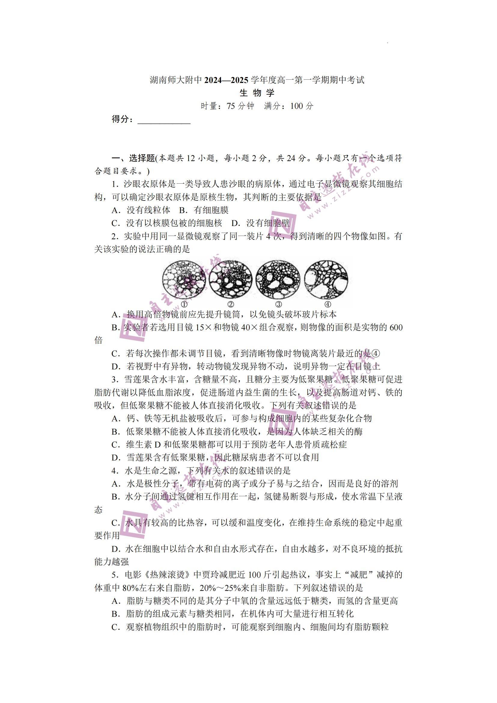 湖南师大附中2024年下学期高一11月期中生物试题及答案