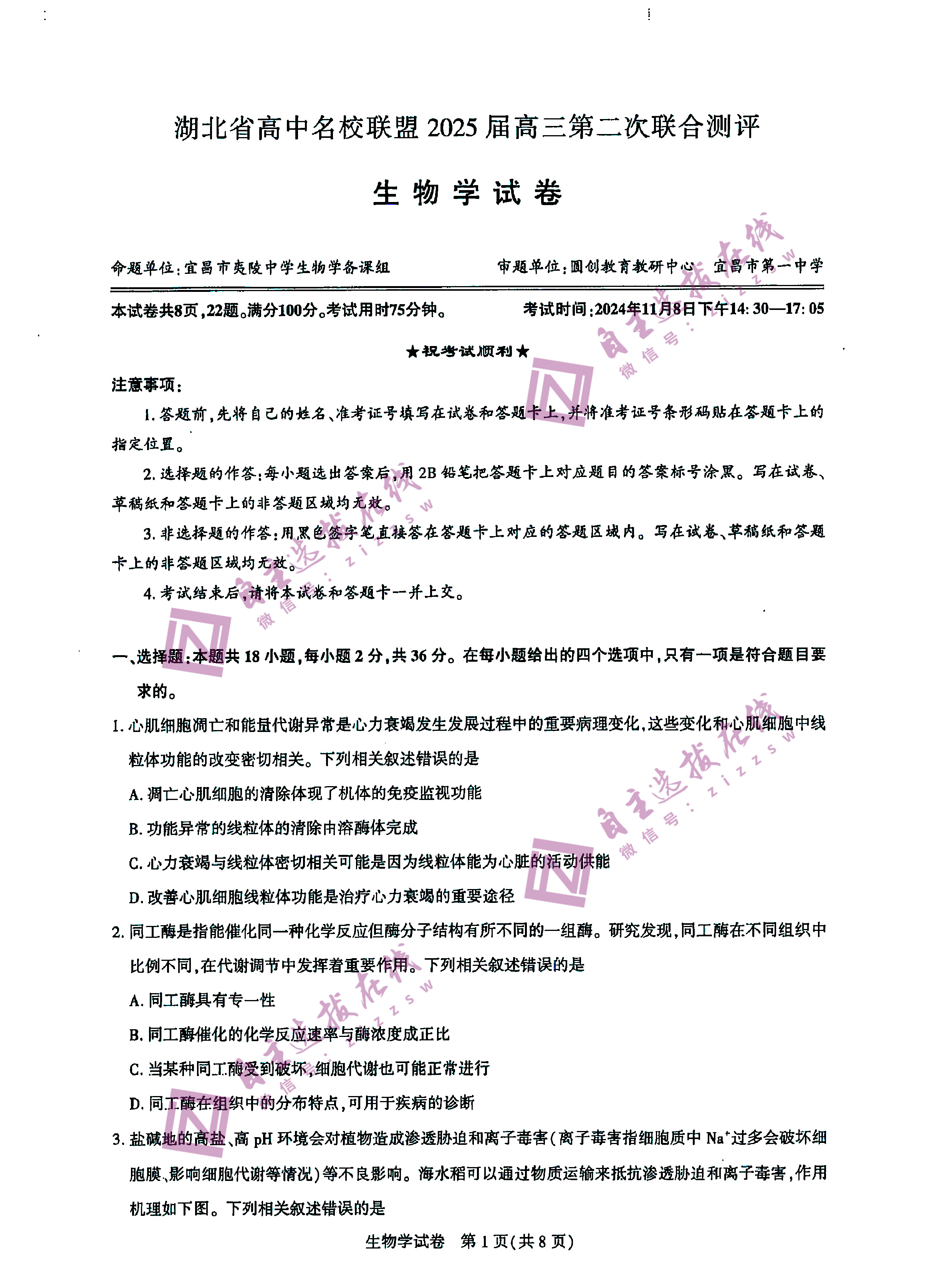 湖北高中名校联盟（圆创联盟 ）2025届高三第二次联合测评生物试题及答案