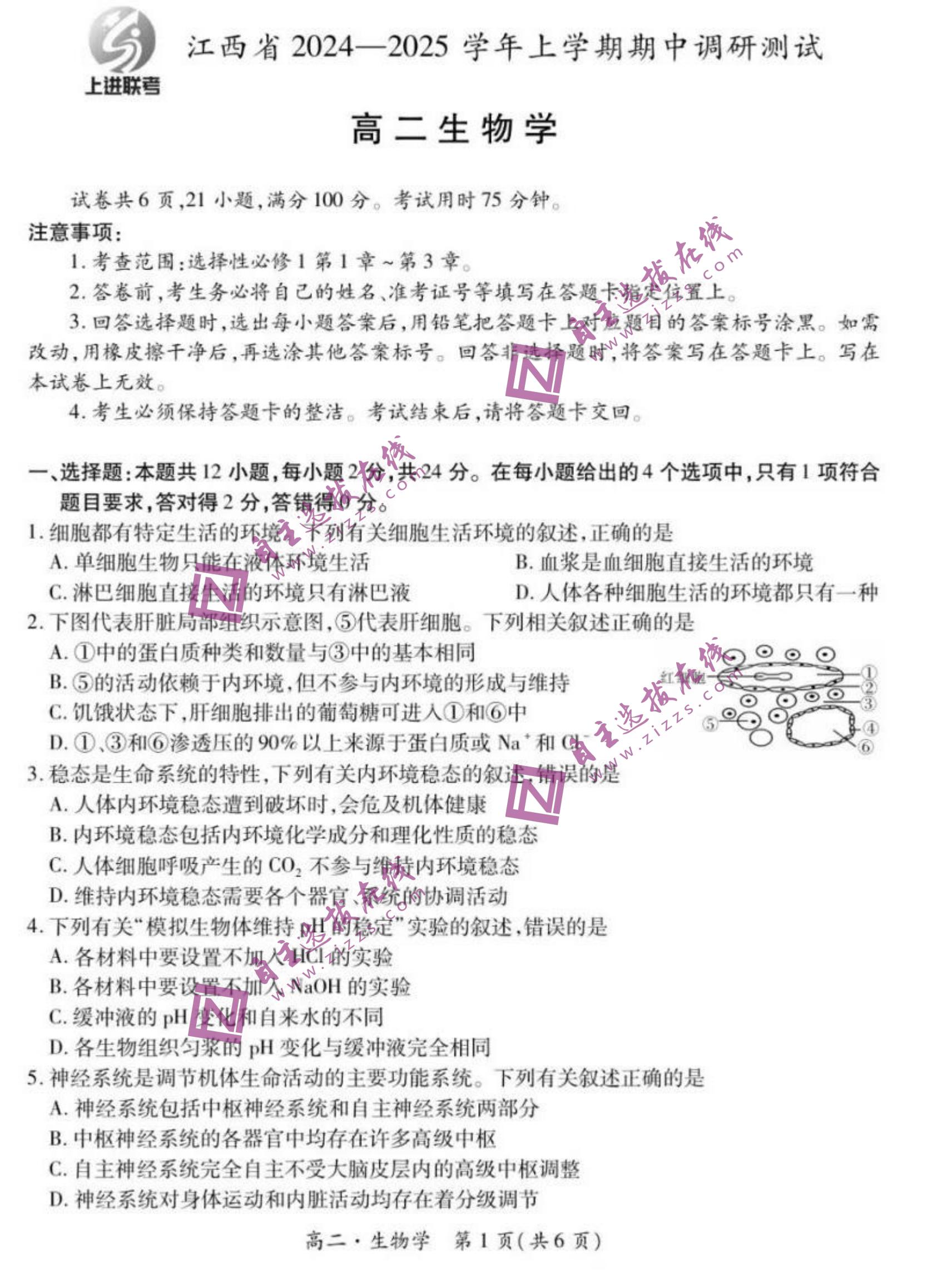 2025江西上进稳派高二(上)期中生物试题及答案