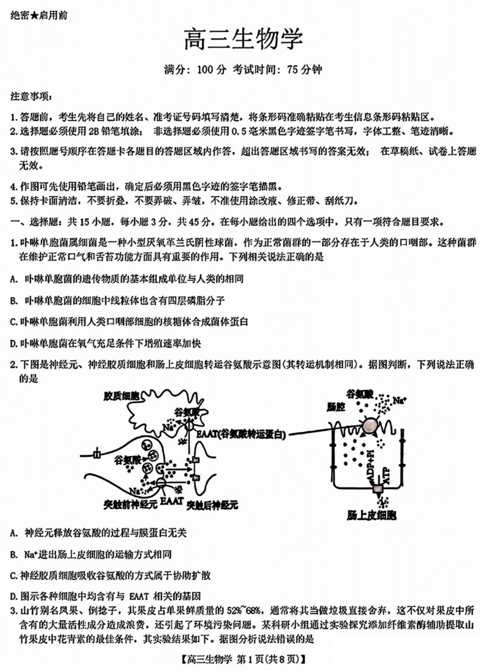 安徽小高考2025届高三鼎尖名校教育11月联考生物试题和答案