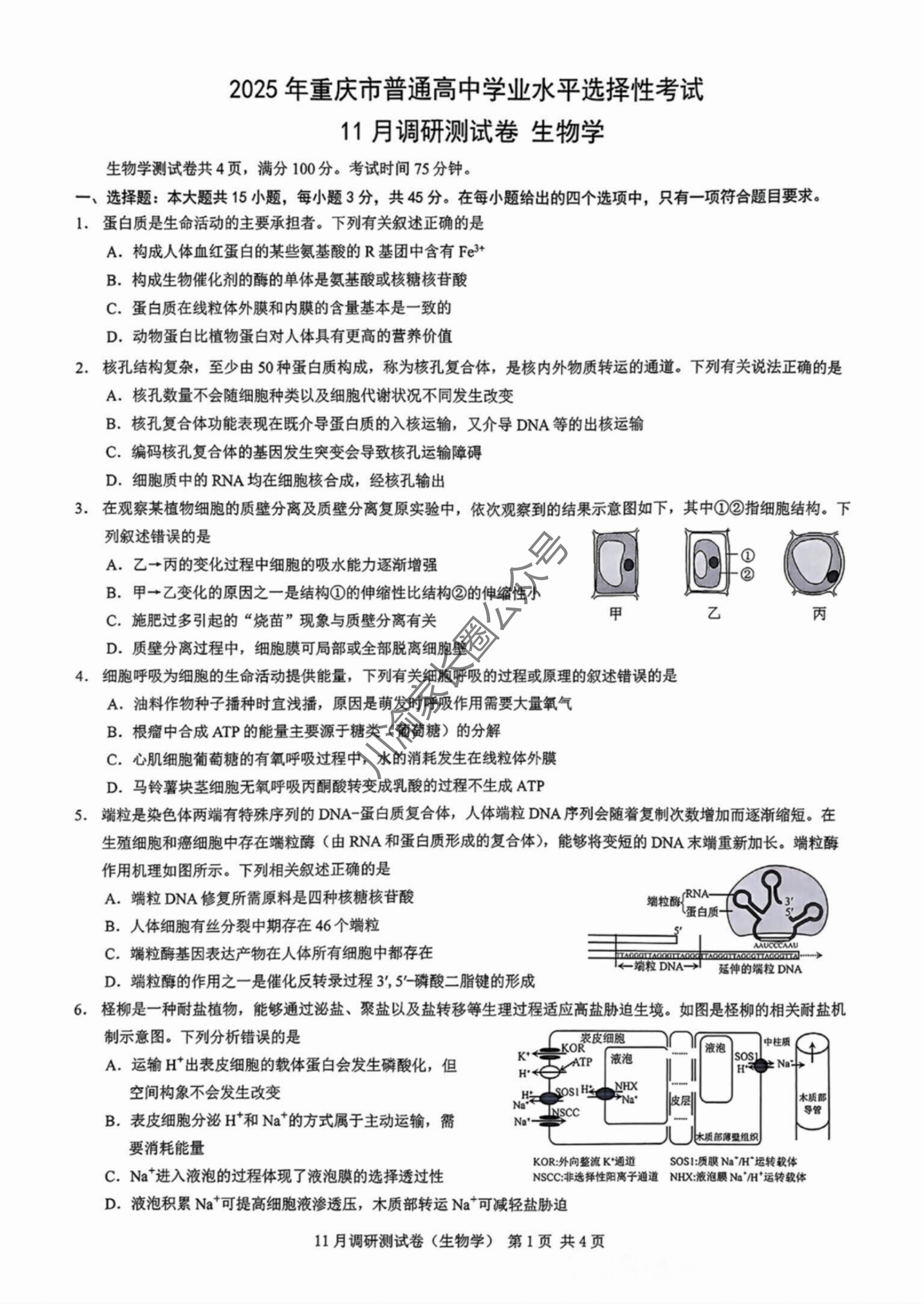 2025届重庆高三11月半期考试（康德零诊）生物试题及答案