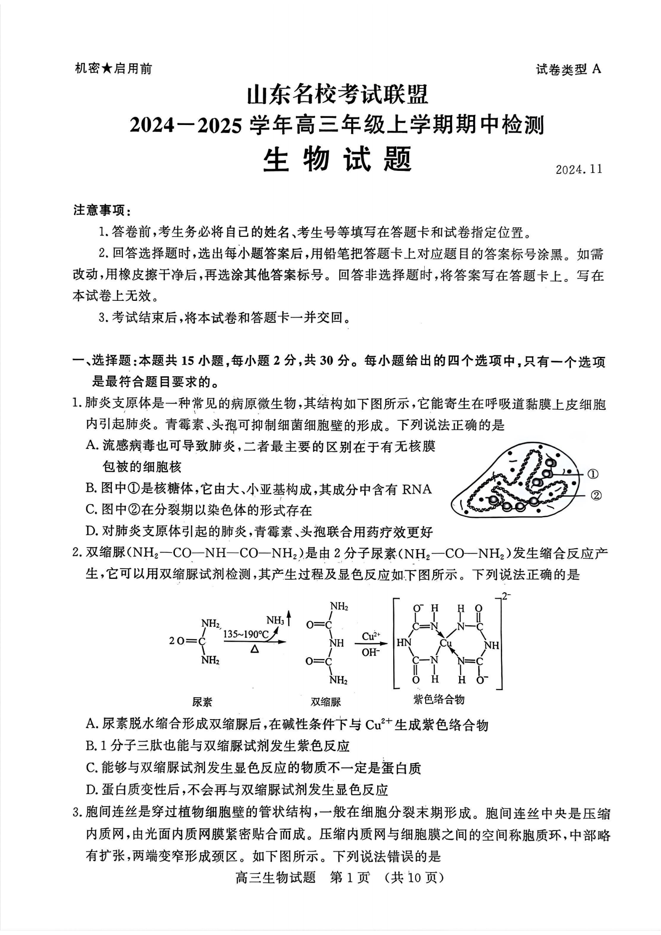 山东名校考试联盟2024年济南高三期中检测生物试题及答案