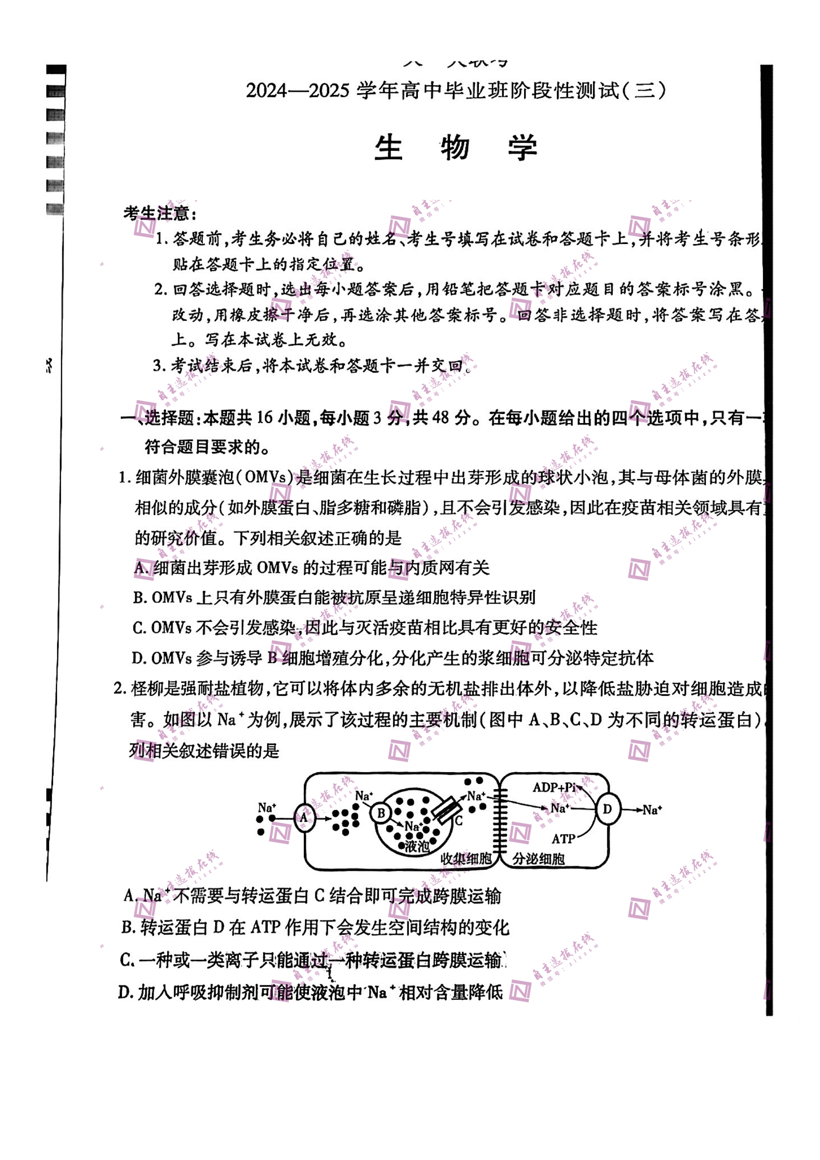 天一大联考2025届高三三联联生物考试题及答案