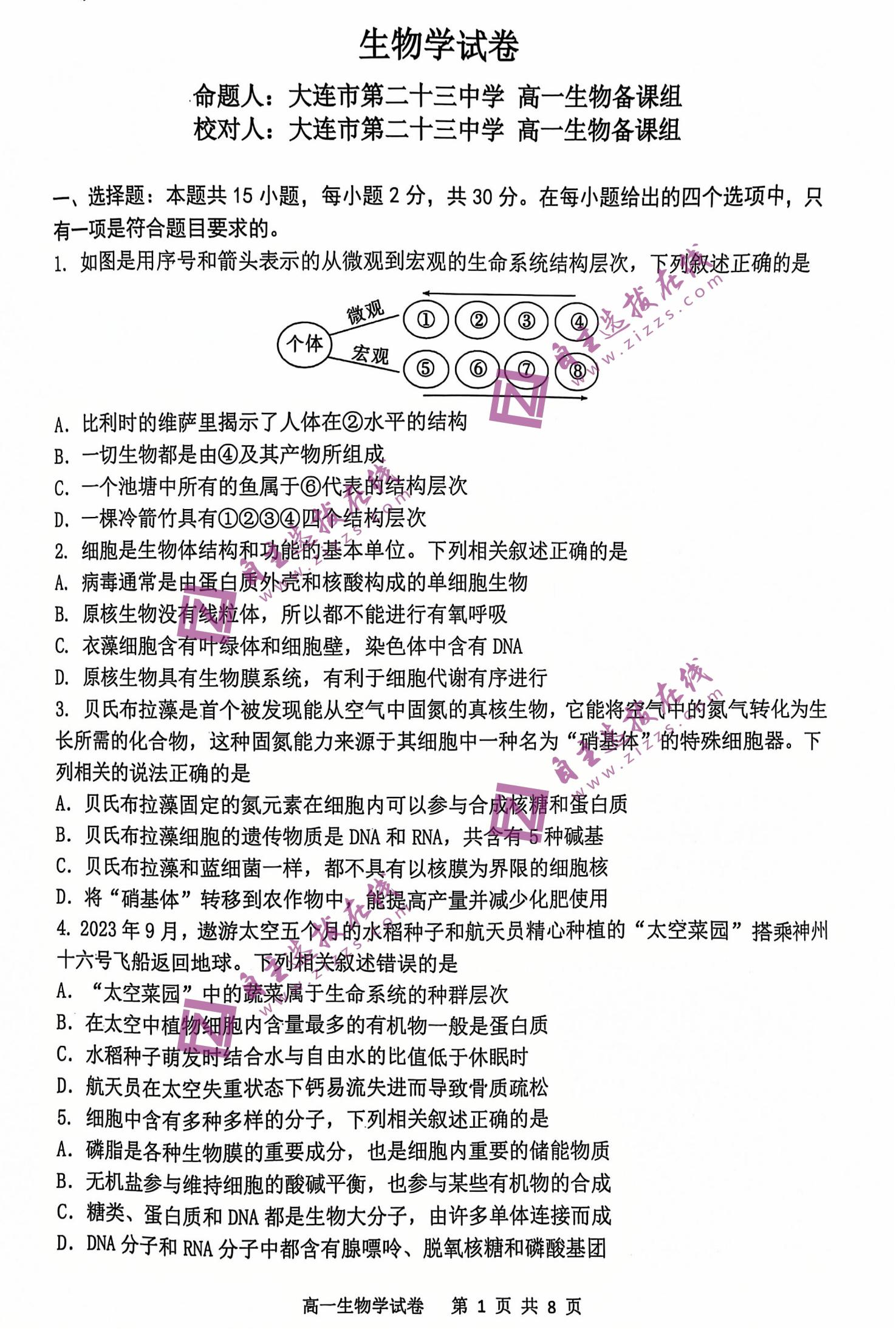 2025大连滨城联盟高一上学期期中生物试题及答案