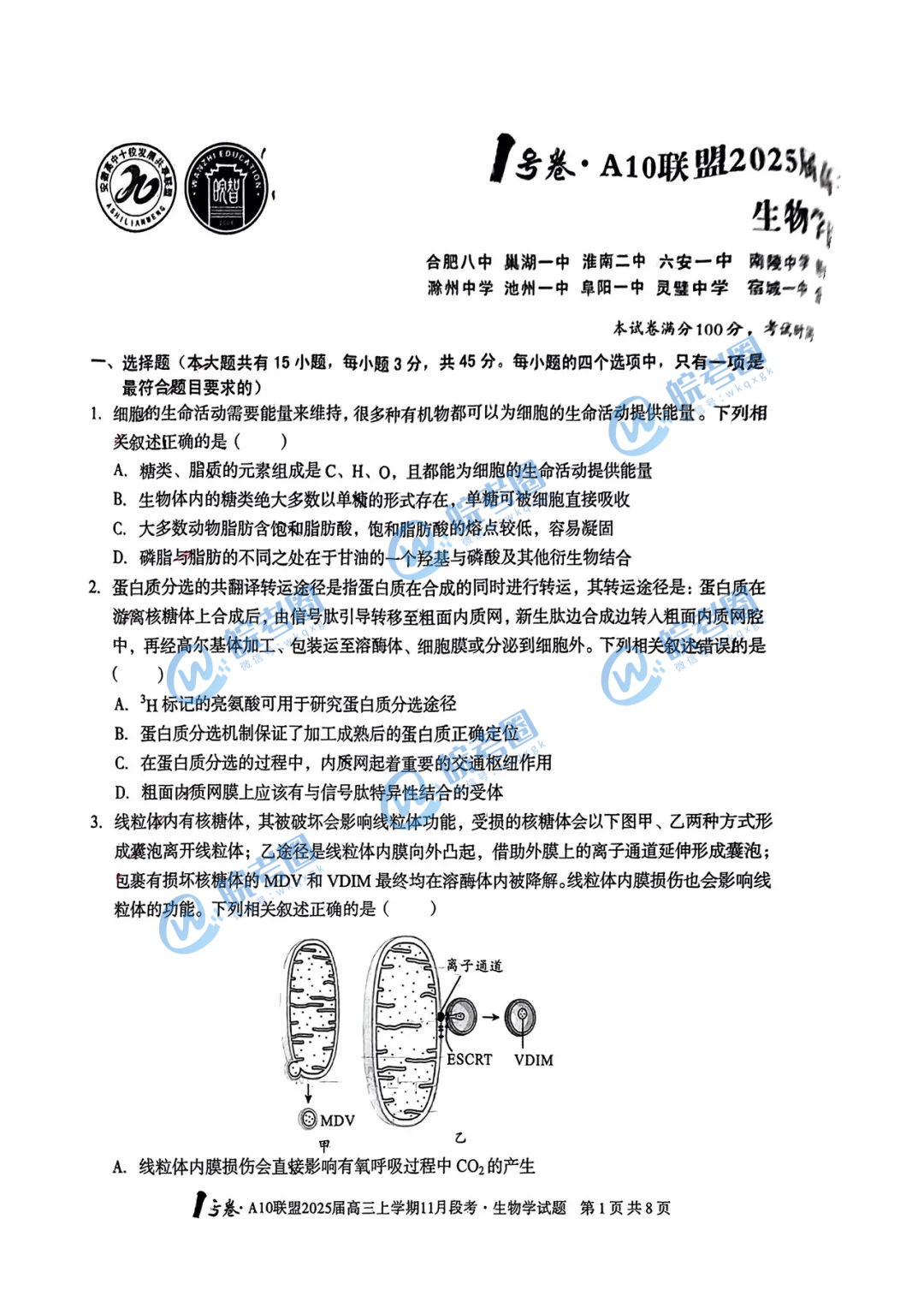 安徽省A10联盟2025届高三11月联考生物试题和答案