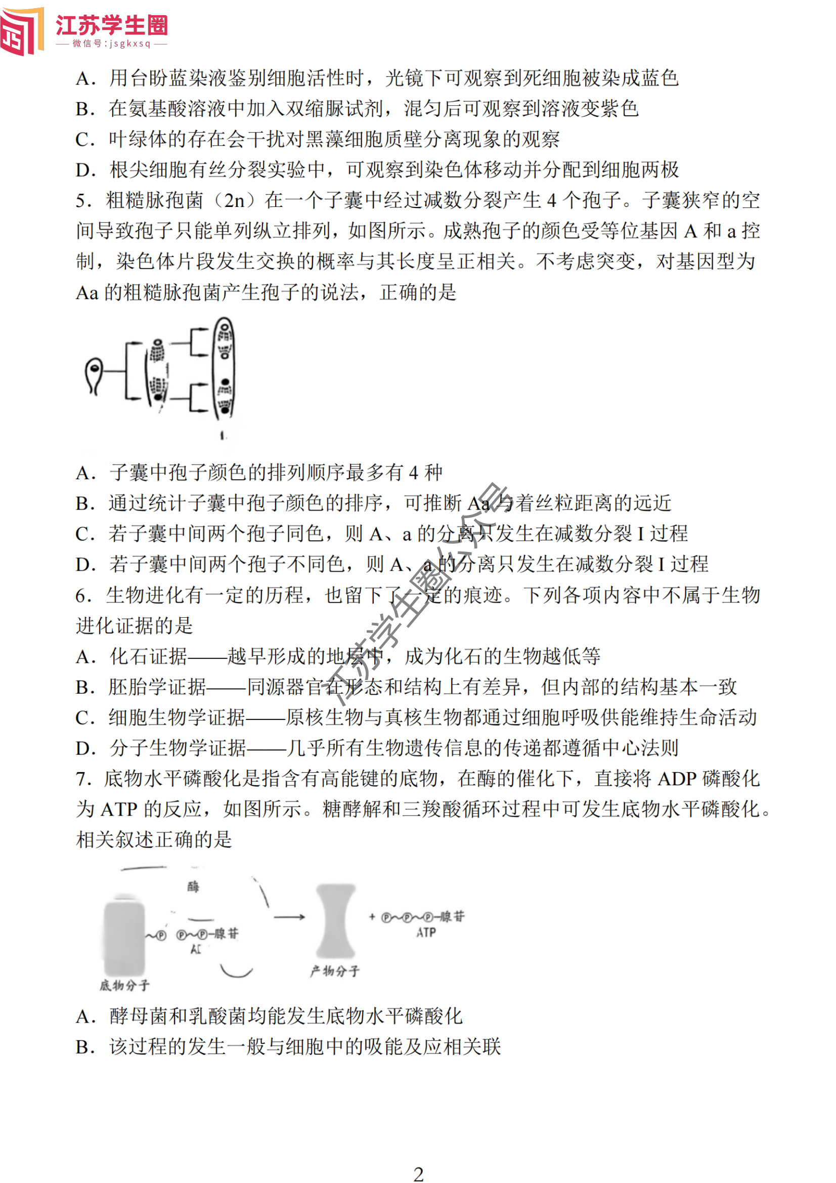 2024年11月江苏南通高三期中考试生物试题及答案