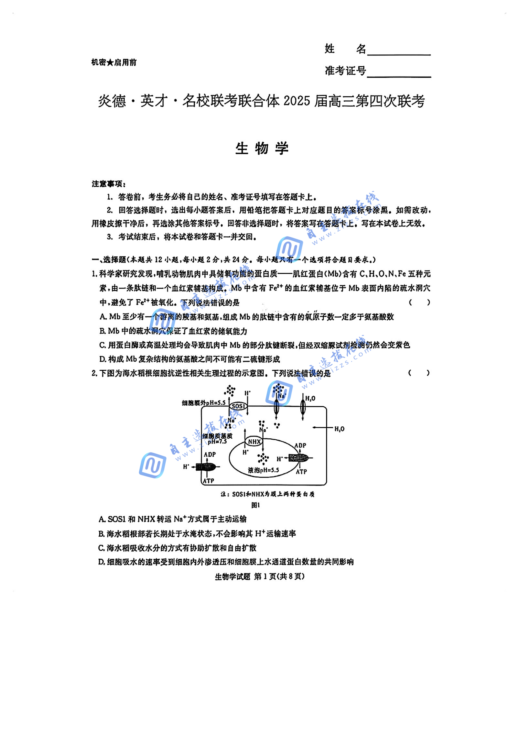 德英才名校2025届高三第四次联考生物试题及答案