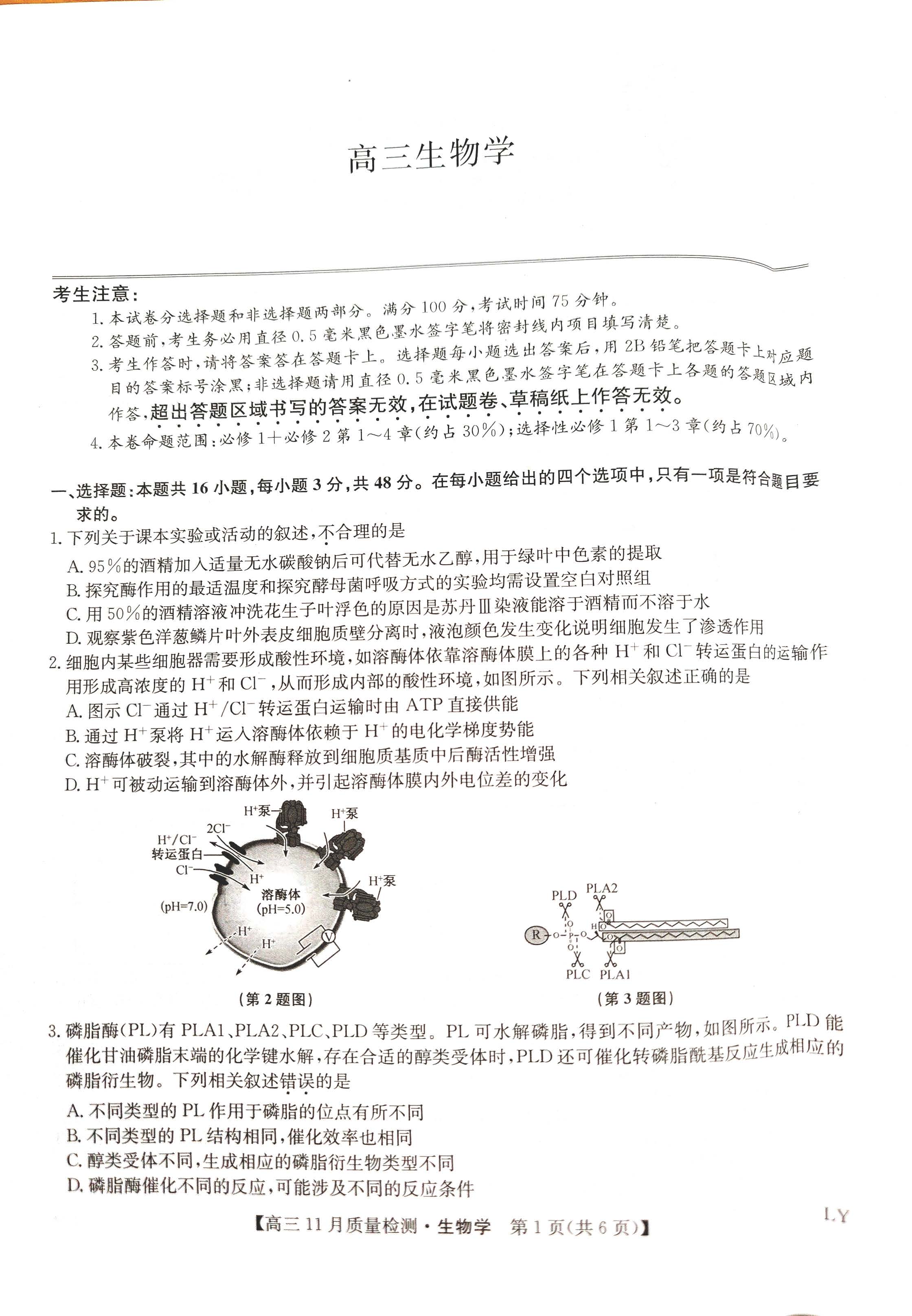 九师联盟2025届高三11月质量检测生物试题及答案（LY）