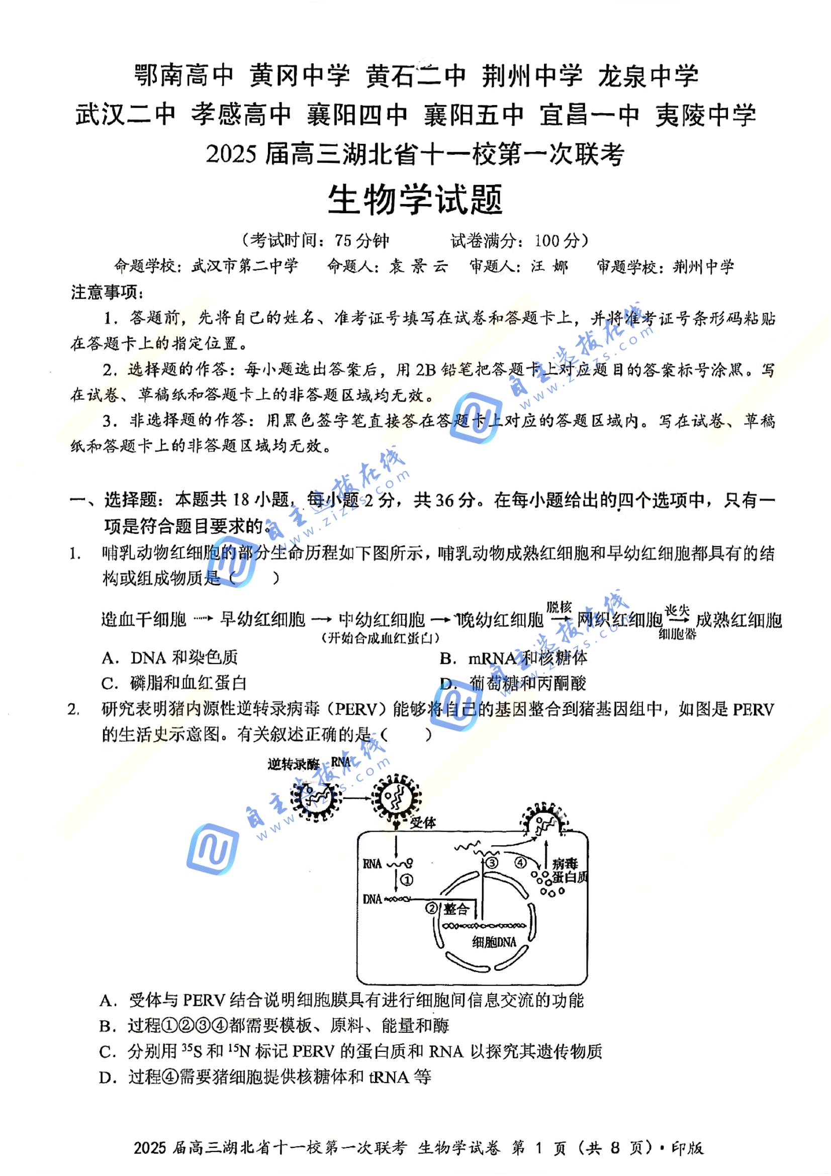 湖北十一校2025届高三12月联考生物试题及答案