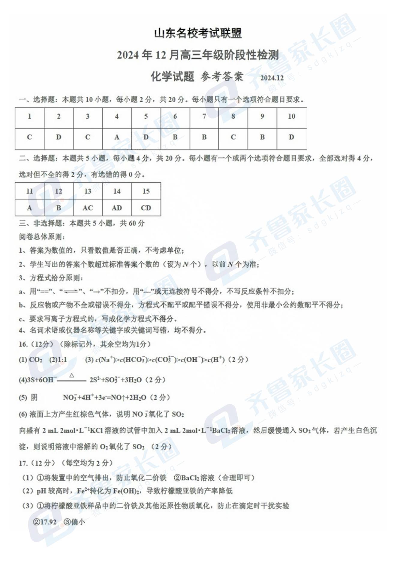 山东名校考试联盟2024年12月高三阶段性检测化学试题及答案