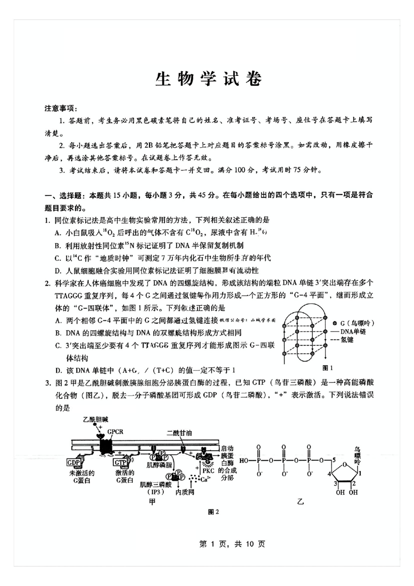 重庆2025届高三12月巴蜀联考月考(四)生物试题及答案